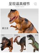 恐龙玩具套装儿童仿真动物，小恐龙霸王龙三角，龙模型(龙模型)小孩子男孩女孩