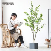 轻奢仿真绿色植物日本吊钟植物假树马醉木室内客厅落地盆栽装饰摆