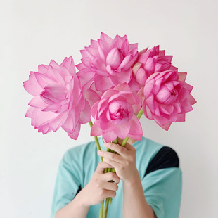 夏季花神唯美高级粉色，重瓣荷花鲜切花，插花水养云南直发节日送花