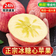 正宗阿克苏冰糖心红富士苹果新鲜水果整箱当季10斤新疆丑苹果
