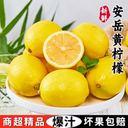 四川安岳黄柠檬新鲜水果皮薄当季整箱香水甜青柠檬小金桔特产
