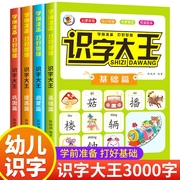 识字大王全套4册识字书幼儿认字有声启蒙早教书籍学前班识字卡片一年级儿童，绘本幼小衔接教材幼儿园宝宝学汉字神器趣味看图