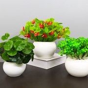 仿真花塑料假花陶瓷绿植物，装饰品客厅家居桌面，摆设多肉小盆栽摆件