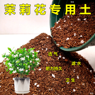 茉莉花专用土虎头重瓣老桩家庭盆栽花卉培养土园艺种植土弱酸性土