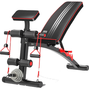 多德士（DDS）多功能仰卧板小飞鸟哑铃凳健身椅家用腹肌运动健身
