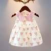 女宝宝夏季无袖吊带连衣裙，婴幼儿裙子0-3岁1女童，夏装韩版公主裙潮