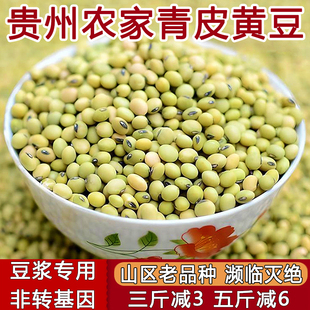 老品种黄豆打豆浆专用非转基因农家自种贵州土小黄豆青皮绿皮500g