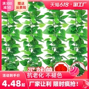 抗老化 不褪色