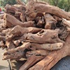 老非洲檀香木根雕木雕工艺品摆件雕刻檀香木料