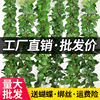 仿真葡萄叶假花藤条藤蔓植物，塑料绿萝树叶子绿叶，下水管道装饰吊顶