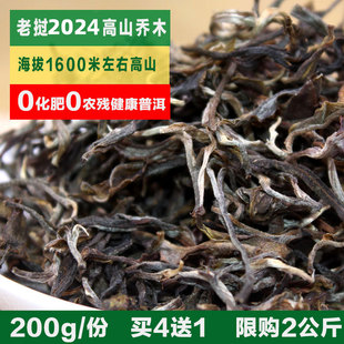 老挝2024年丰沙里春茶高山生态乔木，普洱生茶散茶，特级装普洱茶农制