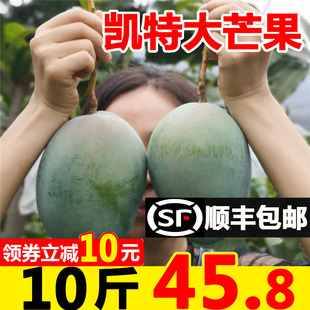 四川攀枝花凯特芒果新鲜大芒果10斤当季水果整箱，应季芒果新的
