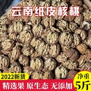 核桃新货2023年云南薄皮生核桃纸壳原味散装坚果新鲜特产零食