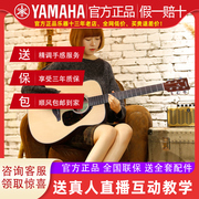 yamaha雅马哈fg800单板民谣电箱，木吉他初学者学生男女，4140寸