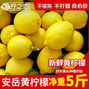 柠之恋安岳黄柠檬(黄柠檬)当季新鲜水果皮薄大果非青柠檬5斤