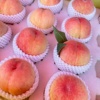 春雪水蜜桃3斤新鲜水果整箱当季时令桃子脆桃冬桃10