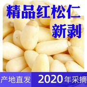 2020红松仁特大颗粒生松子仁新货东北原味野生孕妇坚果仁500g