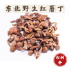 东北黑龙江松树伞红蘑菇纯天然野生特产250g干货松伞蘑新货松蘑
