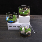 苔藓微景观生态瓶直筒盆栽植物DIY创意小绿植迷你摆件好养活青苔