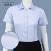 hrn纯棉免烫女士衬衫短袖，夏季工作服职业，工装蓝色蓝白条纹v领衬衣