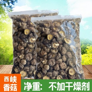2024年新货西峡香菇干货金钱菇食用黄焖鸡小香菇干香菇干冬菇净重