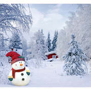 背景布摄影圣诞主题拍照背景，pp纸儿童影楼，背景pp纸雪cm-6406