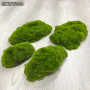 仿真青苔包包绿色小青苔中式风格花艺软装常用苔藓鼓包青苔仿真绿