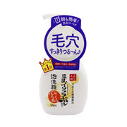 日本sana莎娜豆乳，泡沫保湿补水洗面奶，200ml按压洁面慕斯乳