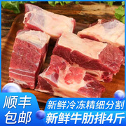 新鲜牛肋排4斤黄膘牛排生牛肉牛排骨整根原切带肉排骨商用食材