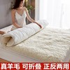 羊毛床垫软垫加厚保暖床褥子双人家用垫褥垫被，单人冬季羊羔绒垫子