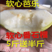 软心白心软(白心软)糯鸡屎果番石榴芭乐巴乐土芭乐新鲜现摘