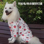 大狗狗服装休闲金毛轻薄防晒衣服，四脚大型犬边牧萨摩夏季夏装薄款