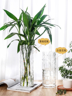 富贵竹专用大花瓶摆件客厅玻璃，透明水培转运竹子，水养落地花盆高
