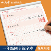 一年级二年级三年级上册下册练字帖小学生专用人教版课本，生字同步笔顺汉字描红字贴书法，练字本楷书儿童田英章课课练语文初学者练习