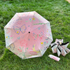 线条蝴蝶全自动折叠防晒太阳伞晴雨两用女防紫外线遮阳伞小巧便携