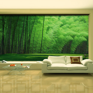 大自然风景绿竹林竹子，简约3大型壁纸，壁画客厅沙发卧室5背景墙纸