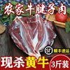 牛腱3斤装1500g新鲜牛腱子，腱弧黄牛肉(黄牛肉)生牛肉现杀牛肉