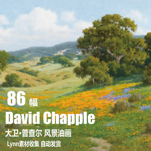 美国大卫·普查尔 David Chapple电子图片风景油画 Lynn素材