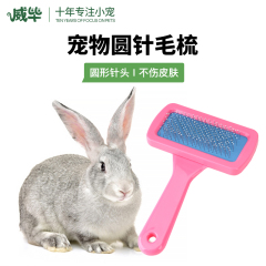 兔子荷兰猪梳毛器宠物洗澡沐浴