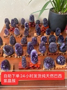 真品乌拉圭天然水晶巴西紫晶簇晶洞能量石小摆件礼物