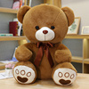 毛绒玩具大熊公仔，特大号超大布娃娃女生日礼物抱抱熊，泰迪熊猫超软