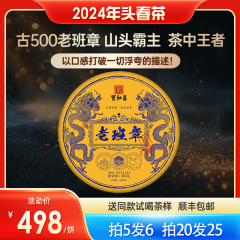 2024年头春茶老班章古树普洱生茶