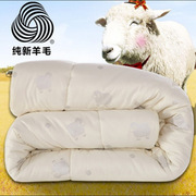 加厚保暖全棉羊毛被冬被床上用品，单人双人被芯被子
