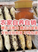 广东冬蜜蜂蜜中蜂蜜土蜂蜜百花蜜农家蜜纯天然零添加美容保健