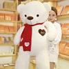 熊玩偶(熊玩偶)泰迪熊，公仔布娃娃猫毛绒玩具1.6米大1.抱情人节送女友0114h