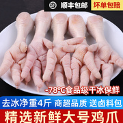 新鲜鸡爪生冷冻鸡脚4斤大号生鲜食材卤泡椒糟卤柠檬鸡爪子非无骨