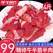 牛半筋半肉4斤装牛肉，新鲜速冻牛，肉块筋头巴脑生牛肉火锅食材