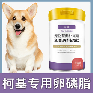 柯基犬专用卵磷脂狗狗毛发鱼油，爆毛粉海藻粉，宠物营养幼犬软磷脂