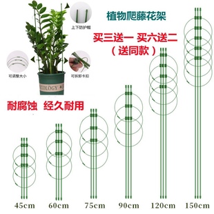 爬藤花架园艺支柱架，阳台绿萝月季铁线莲藤本，植物攀爬蟹爪兰支撑杆