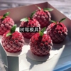 4连立体树莓硅胶模具，创意水果法式甜点，蛋糕磨具甜品diy烘焙用具
